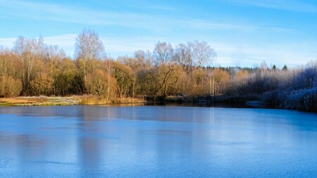 Природа Смоленщины 