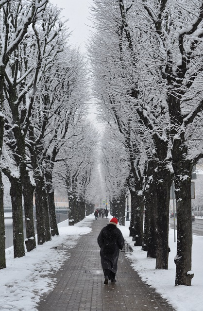 про Красную шапочку_