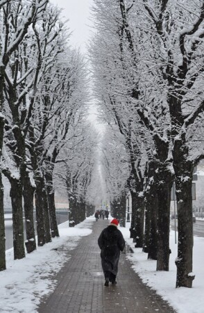 про Красную шапочку_