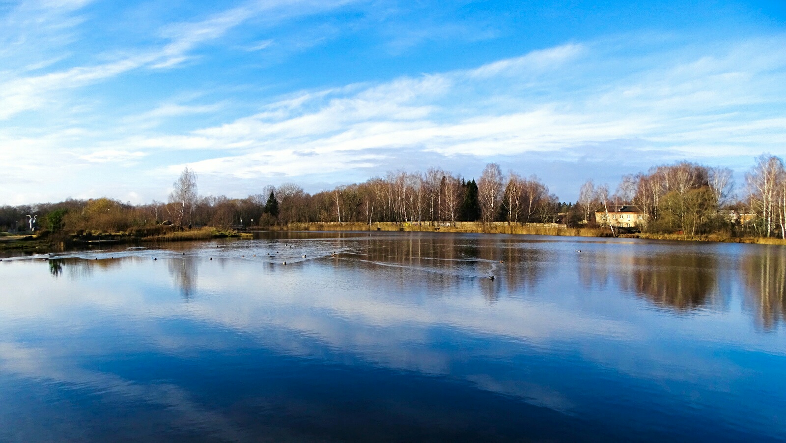 Природа Смоленщины 