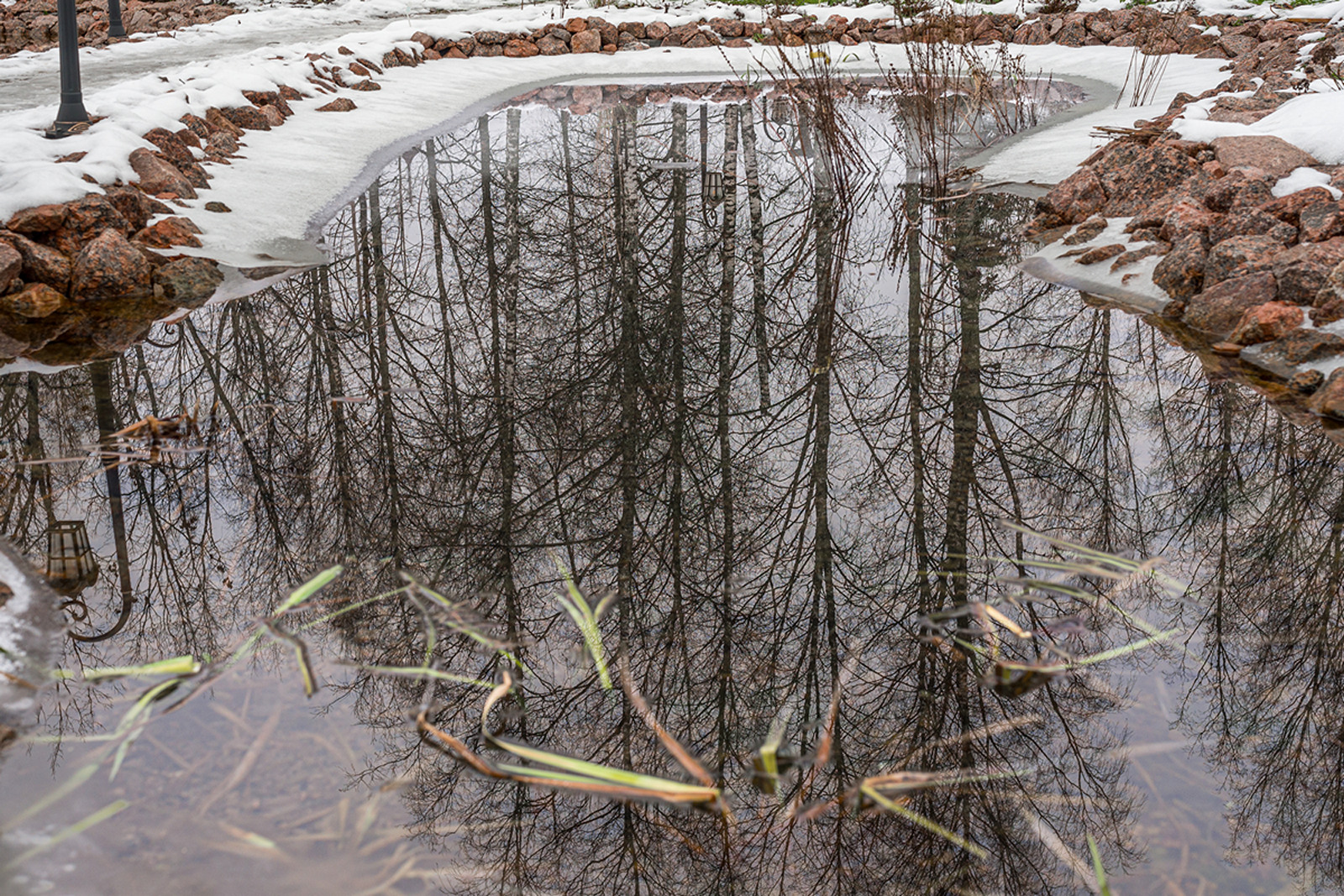 Последний взгляд осени