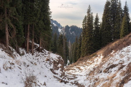 Горными тропами... 