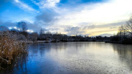 Природа Смоленщины 