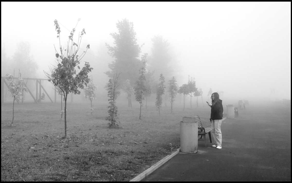 Туманным утром