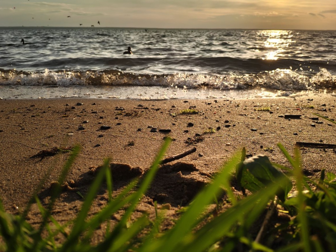 Тишина, отражённая в воде