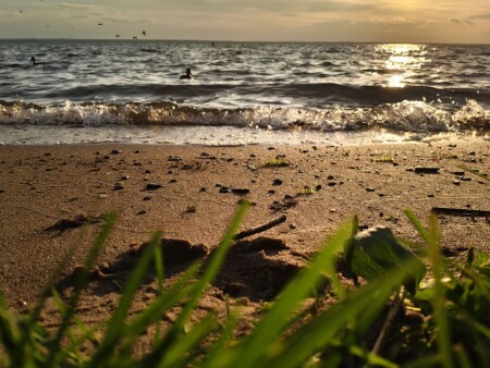 Тишина, отражённая в воде