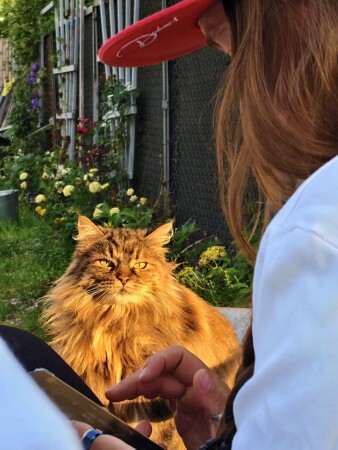 Угадайте, о чём он сейчас думает?