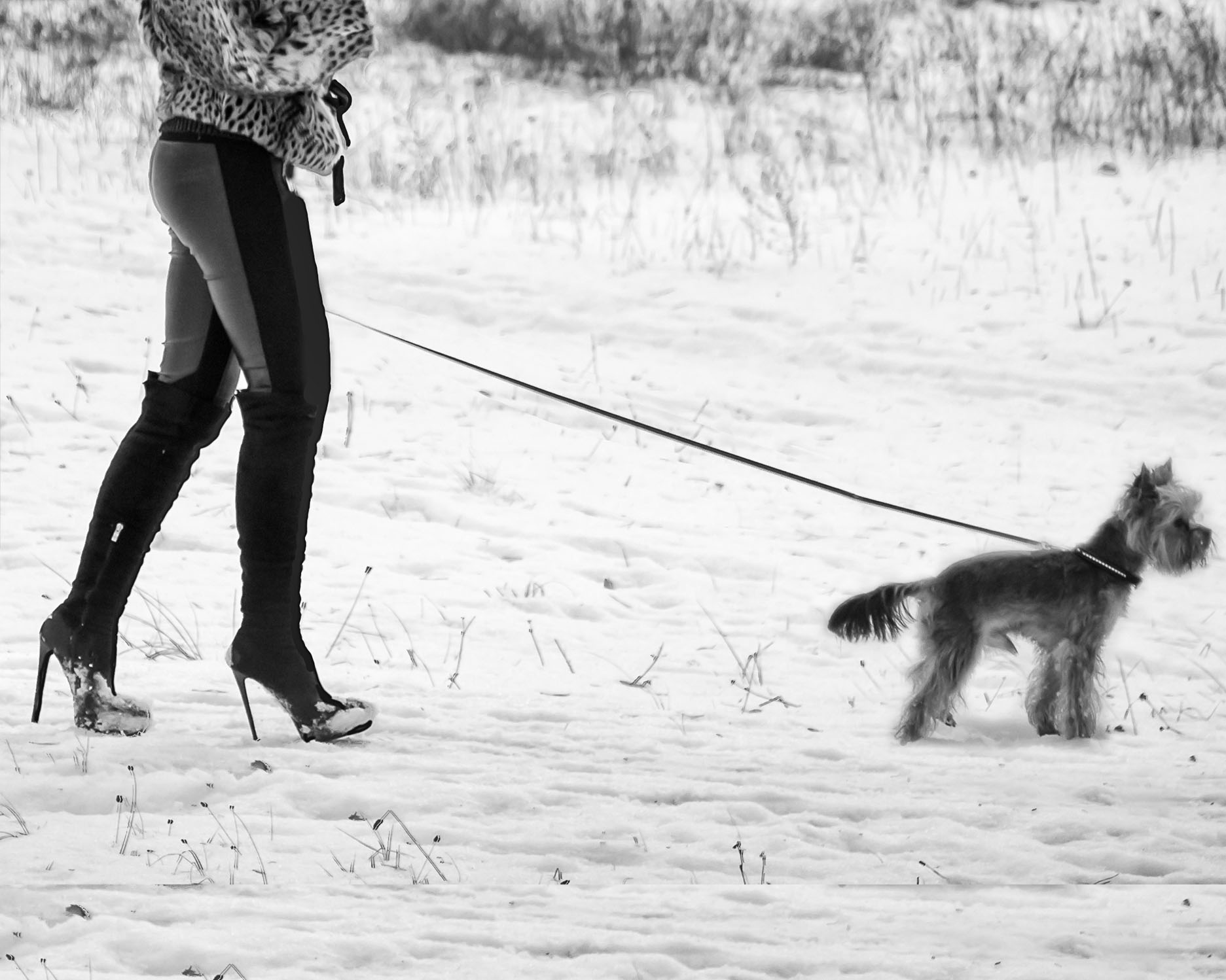 Первый снег