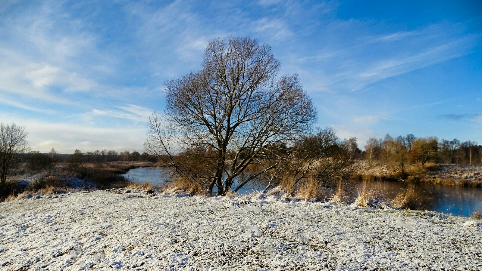 Природа Смоленщины 