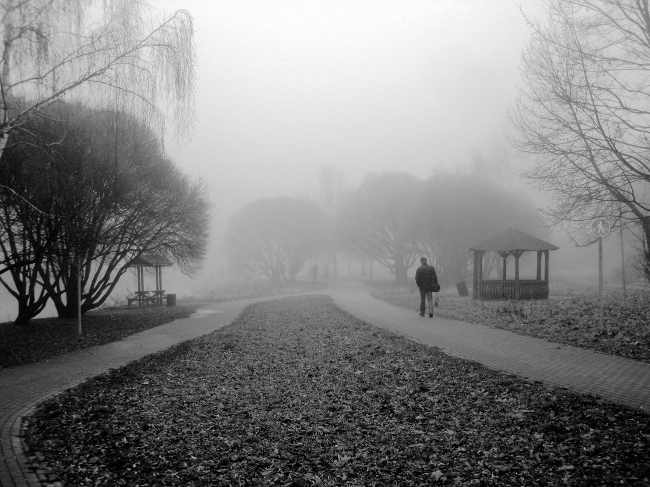 Туманные перспективы.