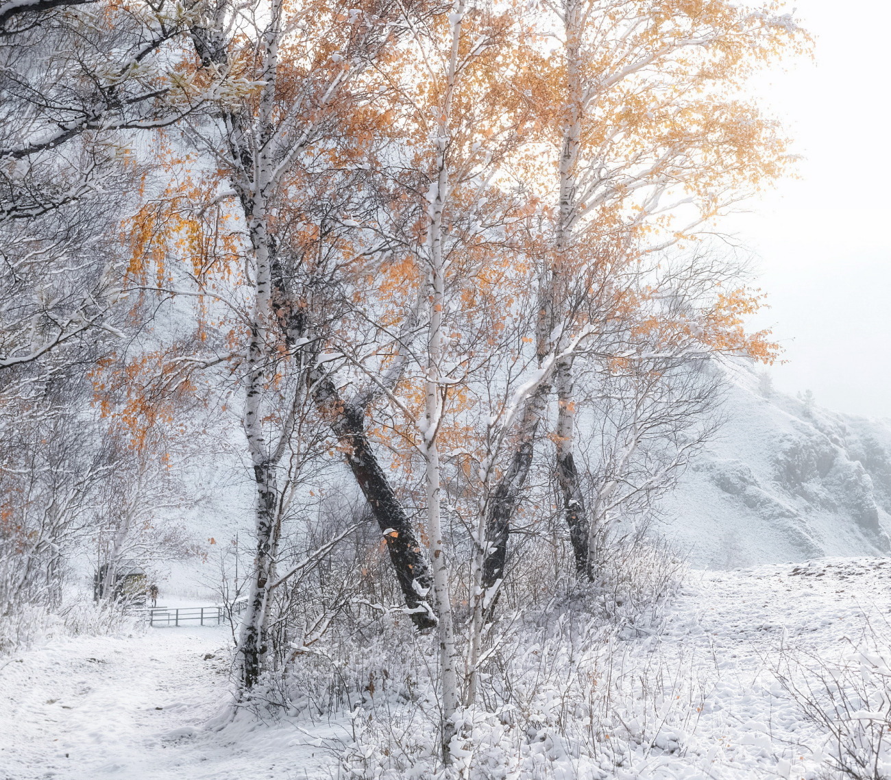 Снежная осень