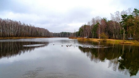 Природа Смоленщины 