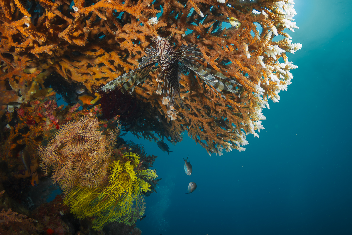 Вверх тормашками...