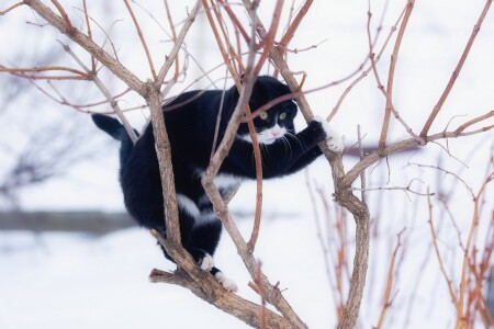  А я тут веточку нашел и держусь за неё с.Яблочное , о.Сахалин