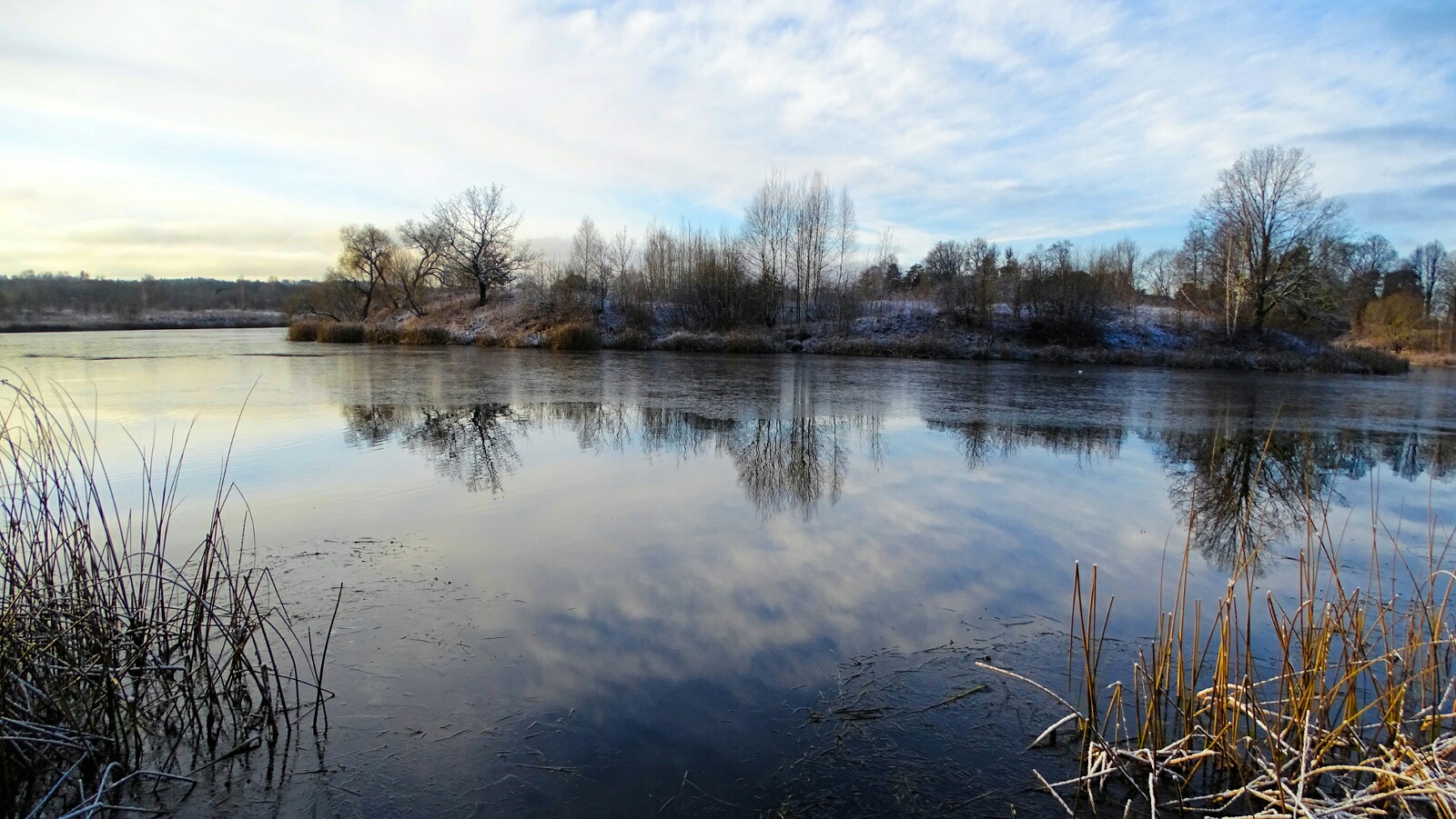 Природа Смоленщины 