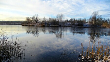 Природа Смоленщины 