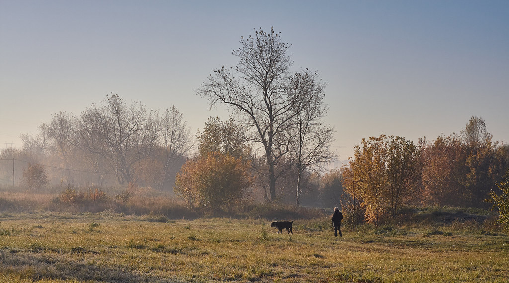 Утренняя прогулка