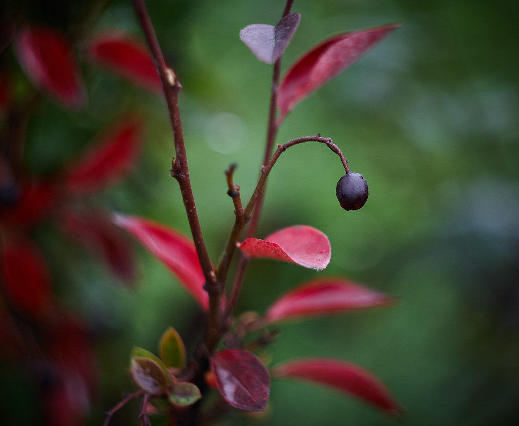 Последнее деньки