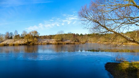 Природа Смоленщины 