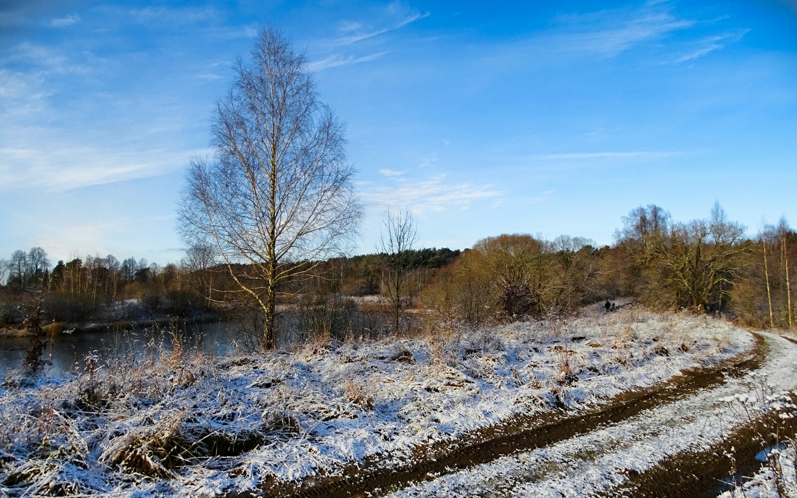 Природа Смоленщины 