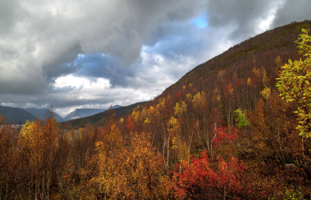 Осень в Хибинах