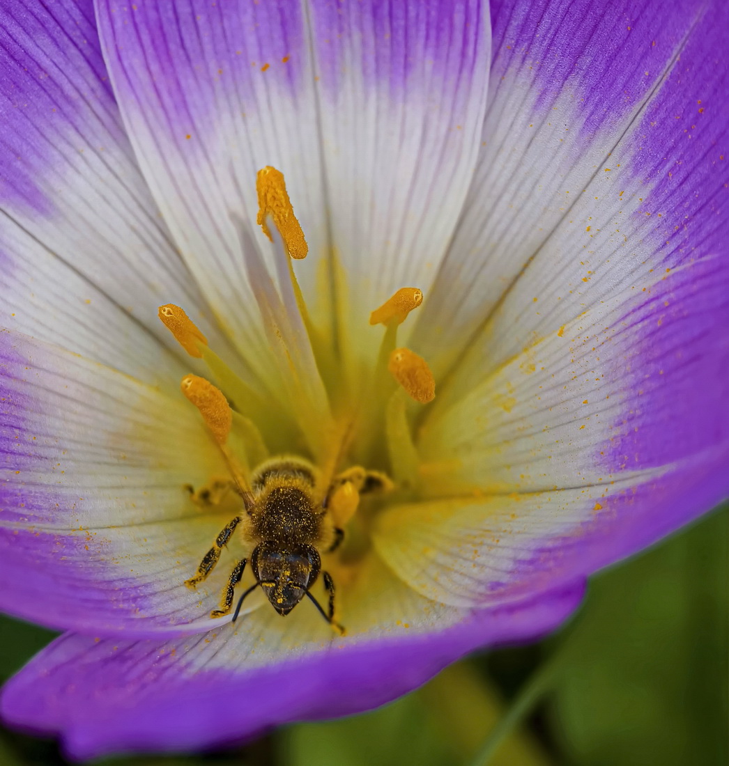 как бы выбраться