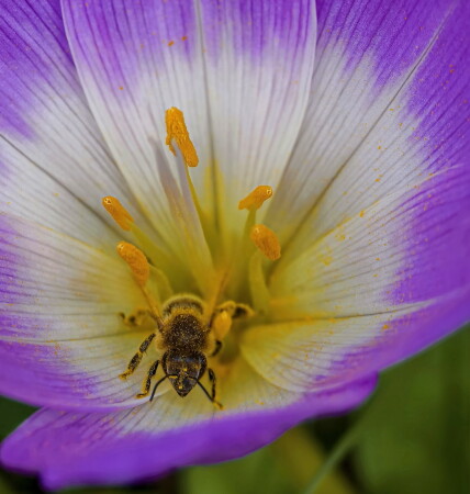 как бы выбраться