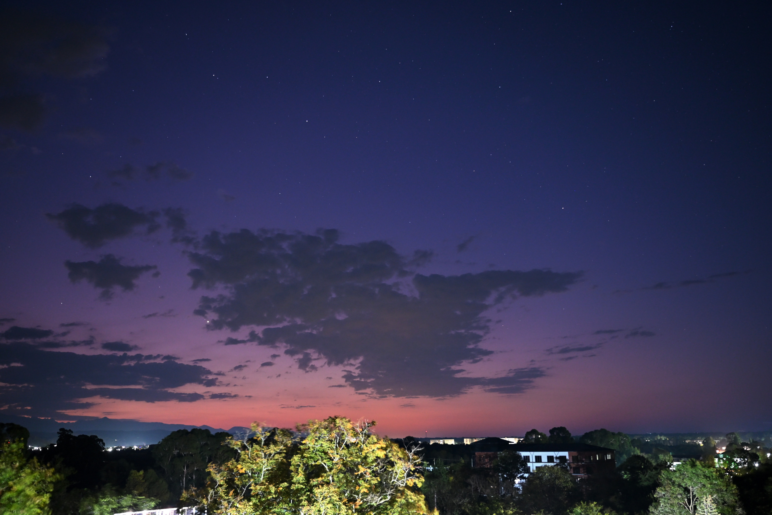 еще кошки серые