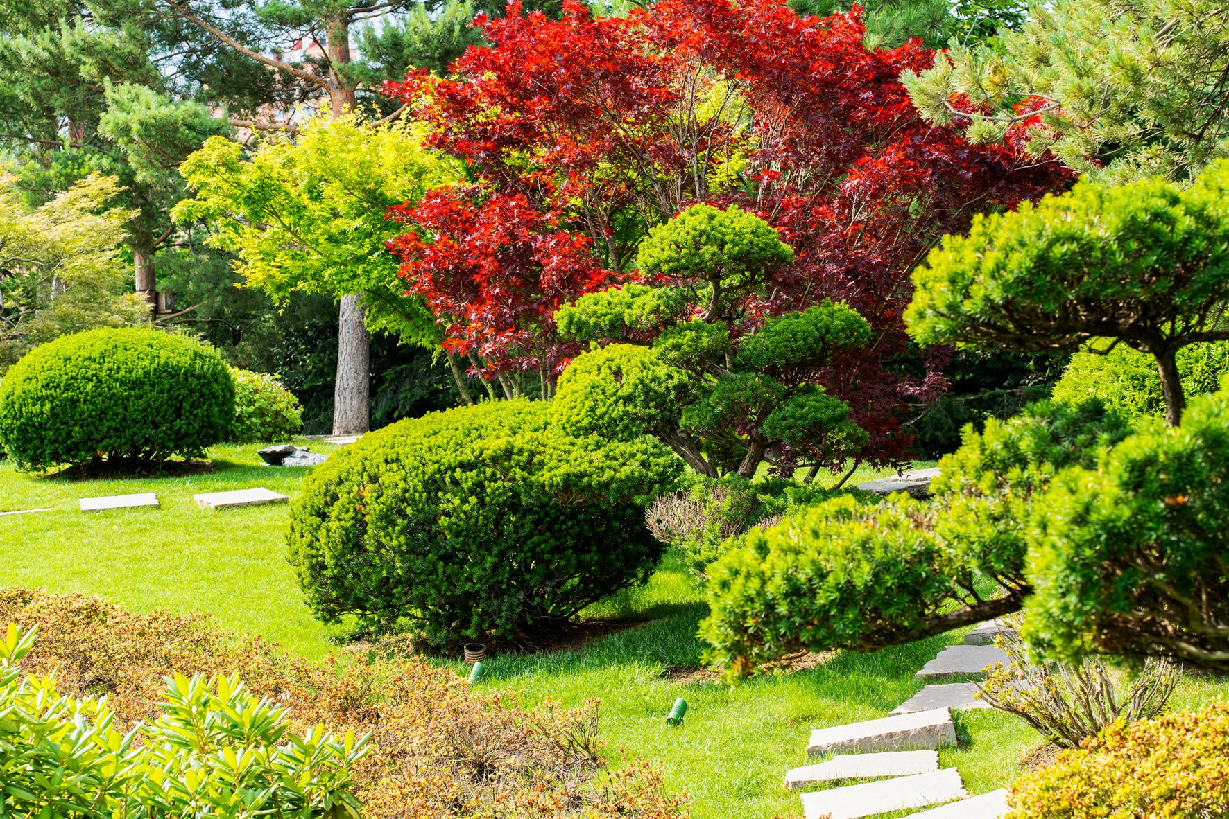 Японский сад