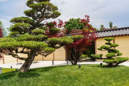 Вход в японский сад