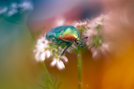 Бронзовка через Гелиос