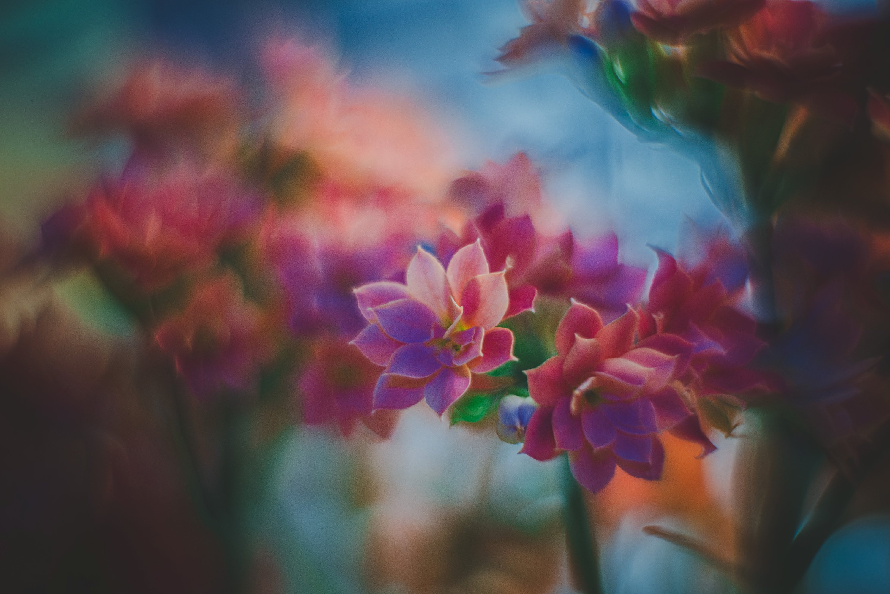 Аварельный цветок