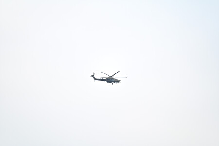 опустошитель на тесте