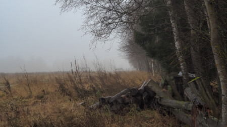 Осенний Сюжет