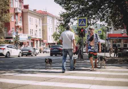 За мной, бродяги!