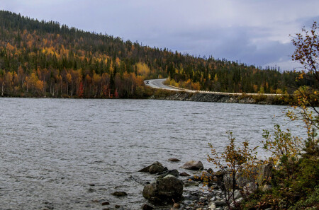 Дорога в осень...