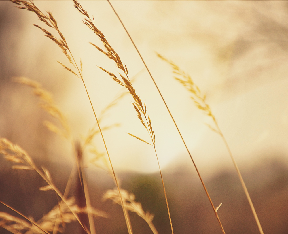 тёплый закат