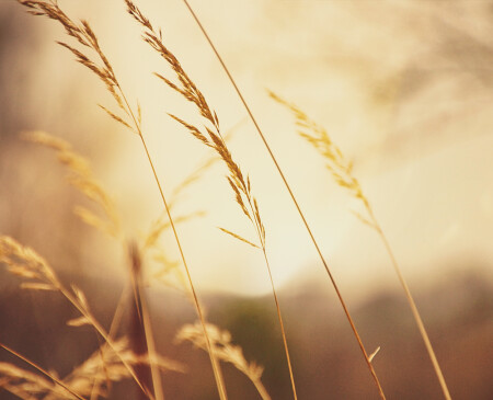 тёплый закат