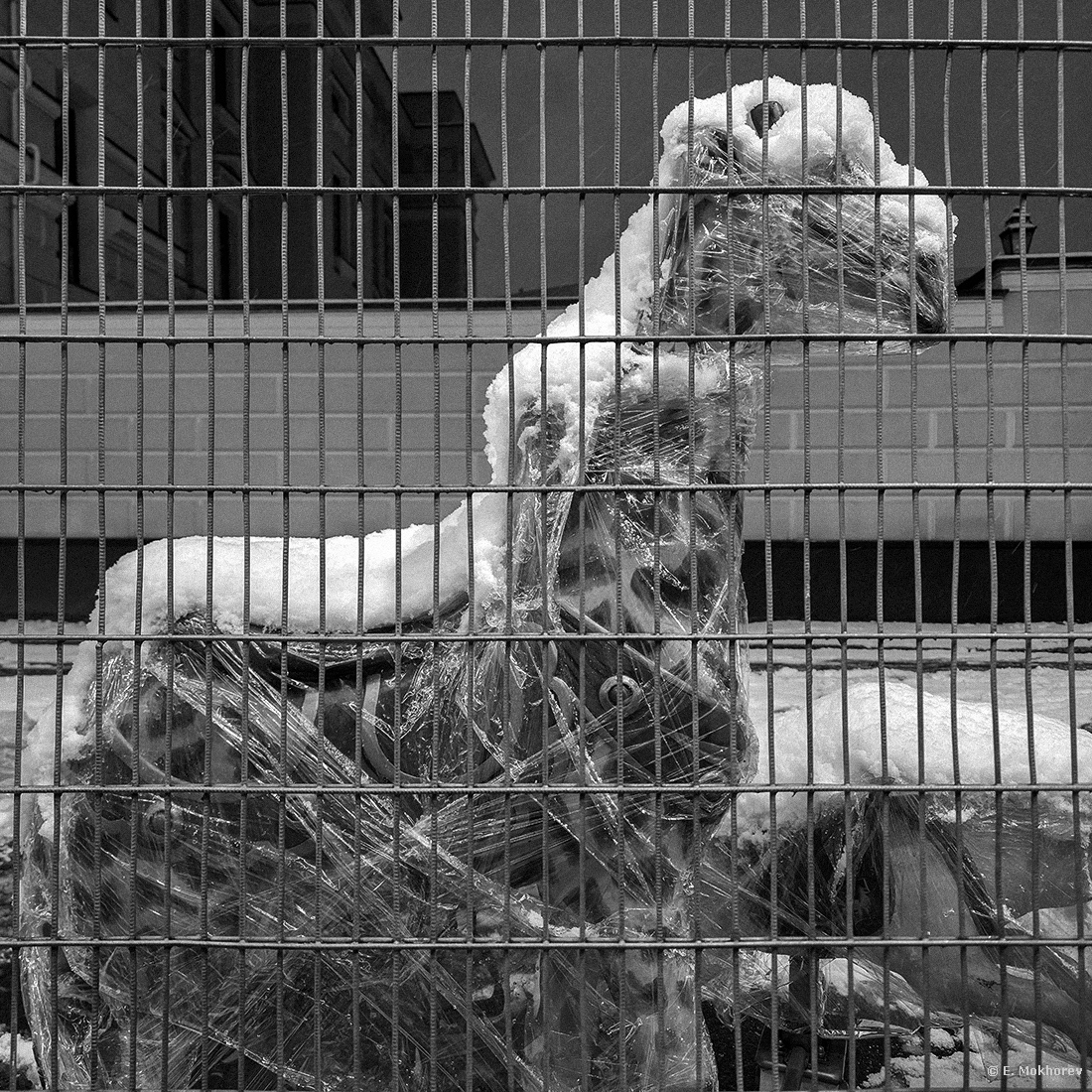 ***. С-Петербург, ноябрь 2025.