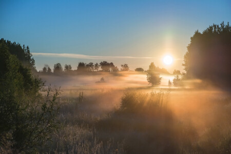  Июльский рассвет.