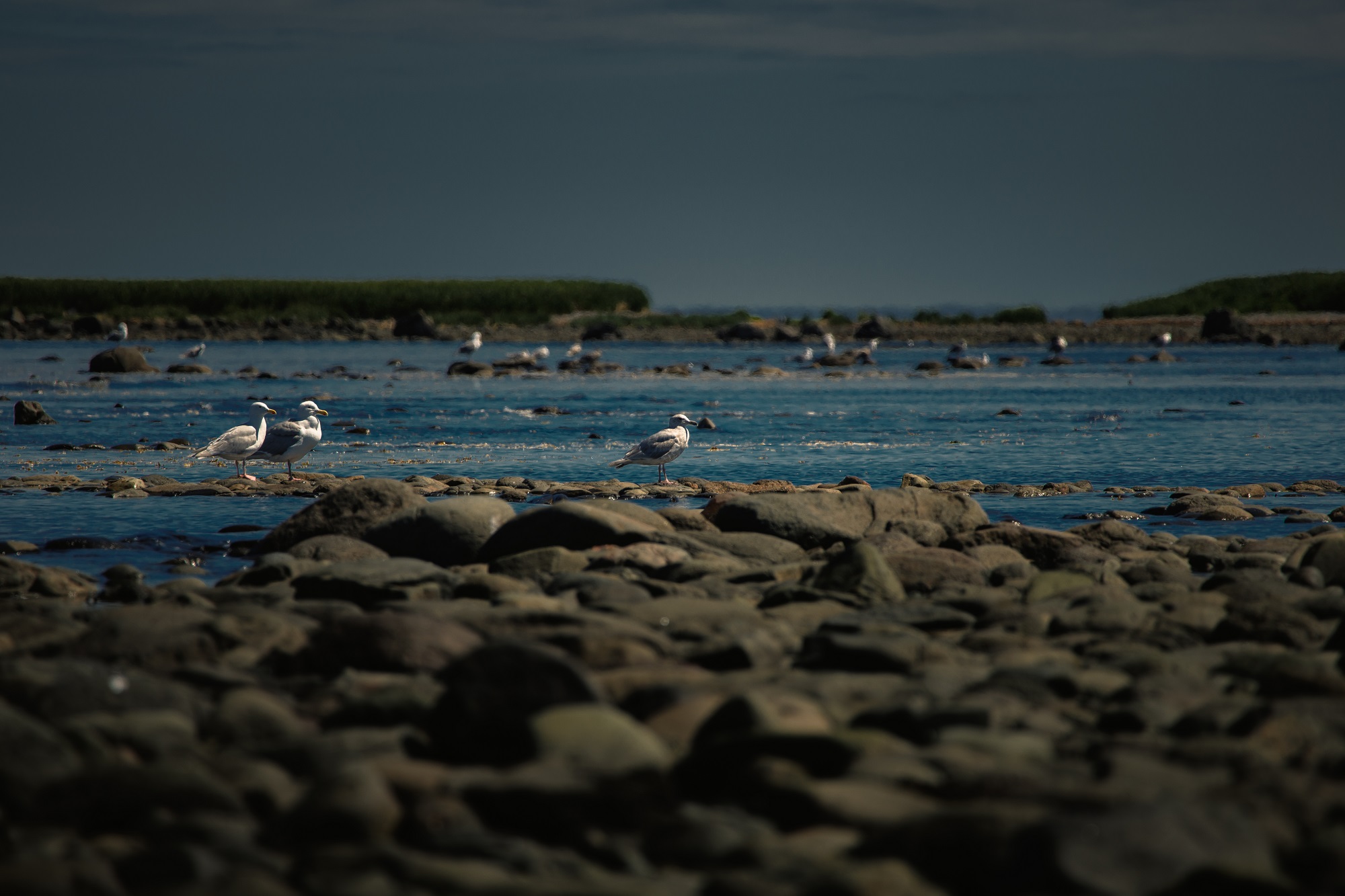 Полнолуние