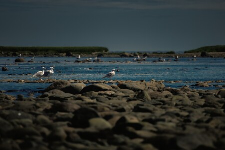 Полнолуние