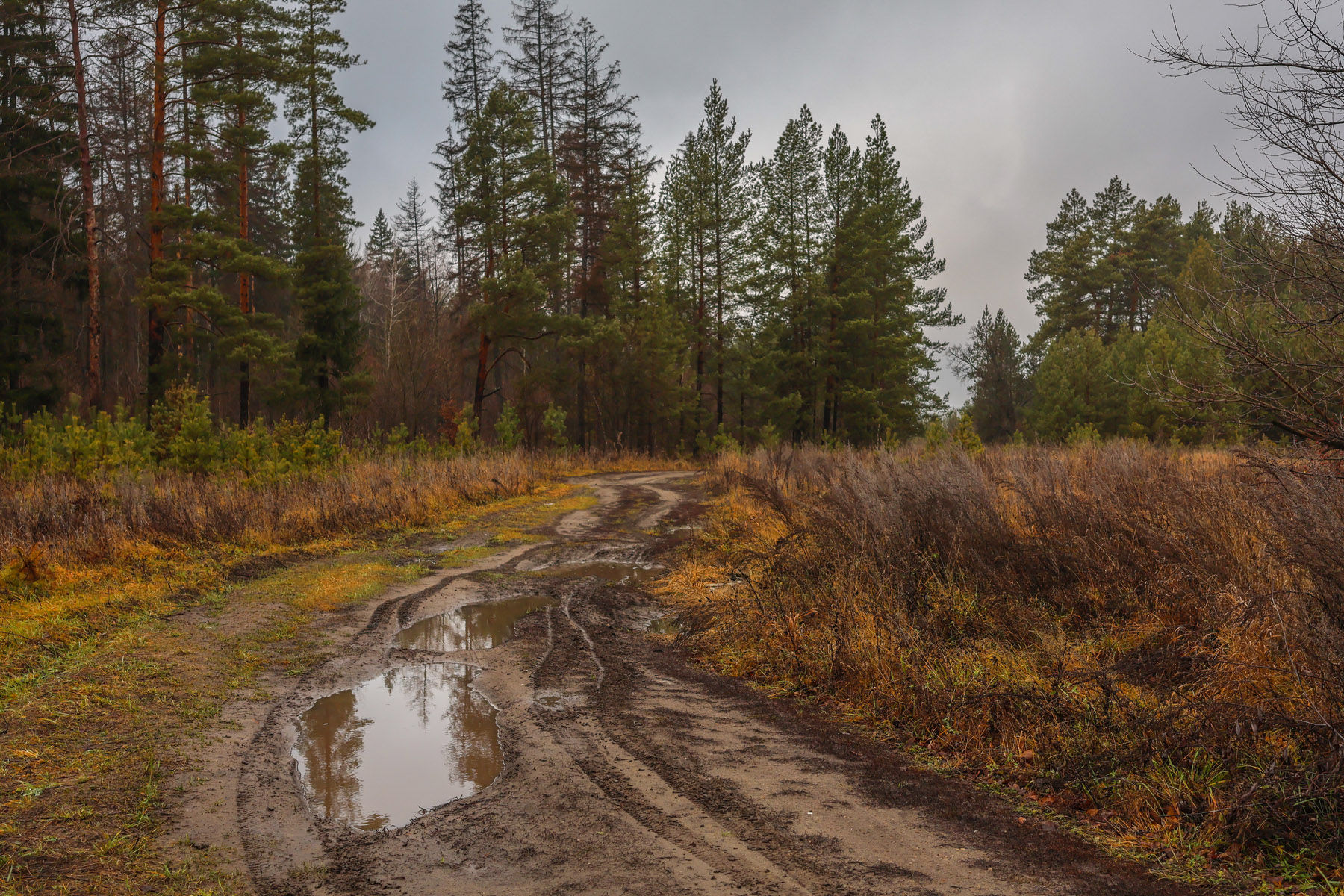 Конец ноября