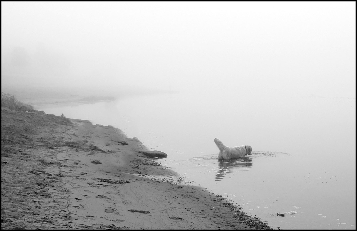 Прогулка в тумане