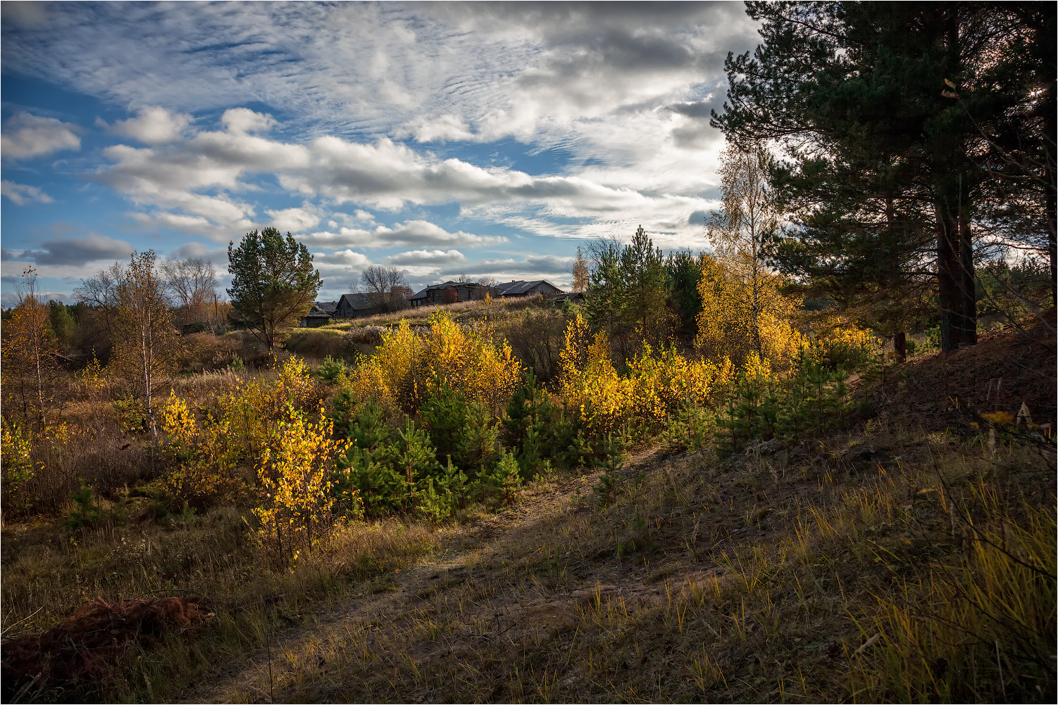 Деревенский пейзаж