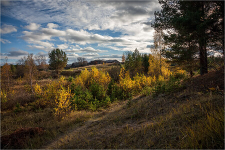 Деревенский пейзаж