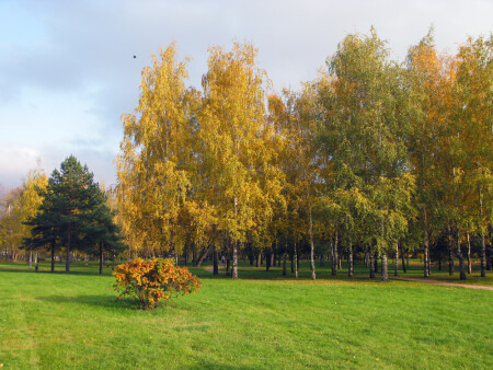 Осень в Москве.