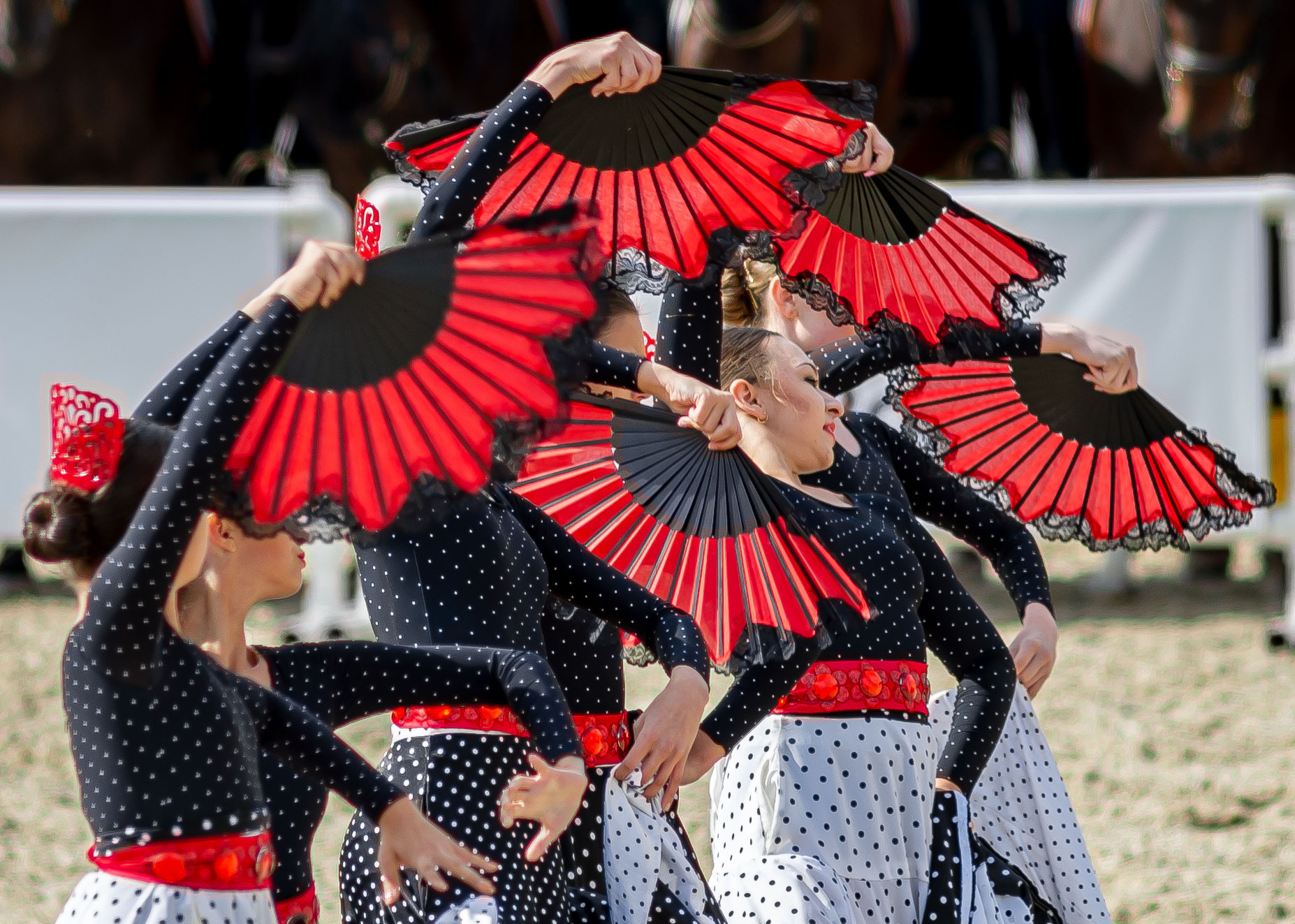 Шесть граций