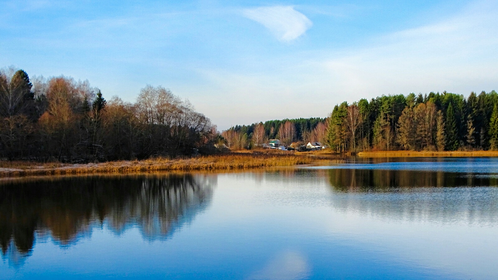 Природа Смоленщины 