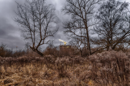 ... урбанизация ...